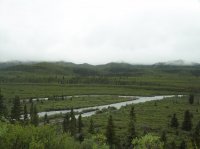 118_4588.JPG 118_4588.JPG