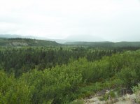 118_4589.JPG 118_4589.JPG