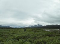 118_4598.JPG 118_4598.JPG