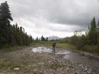 118_4607.JPG 118_4607.JPG