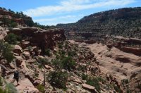 DSC_0016 (1024x681).jpg DSC_0016 (1024x681).jpg