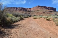 DSC_0060 (1024x681).jpg