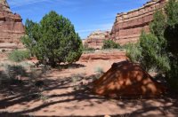 DSC_0131 - Copy (1024x681).jpg