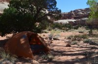 DSC_0137 - Copy (1024x681).jpg