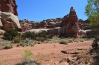 DSC_0138 - Copy (1024x681).jpg DSC_0138 - Copy (1024x681).jpg