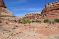 DSC_0139 - Copy (1024x681).jpg DSC_0139 - Copy (1024x681).jpg