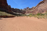 DSC_0144 - Copy (1024x681).jpg DSC_0144 - Copy (1024x681).jpg