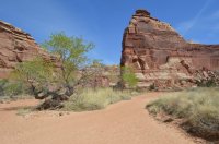 DSC_0152 - Copy (1024x681).jpg DSC_0152 - Copy (1024x681).jpg