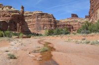 DSC_0156 - Copy (1024x681).jpg DSC_0156 - Copy (1024x681).jpg