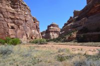 DSC_0163 - Copy (1024x681).jpg DSC_0163 - Copy (1024x681).jpg