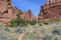 DSC_0164 - Copy (1024x681).jpg DSC_0164 - Copy (1024x681).jpg