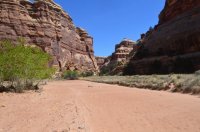 DSC_0165 - Copy (1024x681).jpg DSC_0165 - Copy (1024x681).jpg