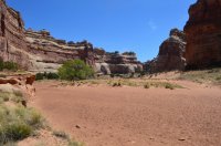 DSC_0166 - Copy (1024x681).jpg DSC_0166 - Copy (1024x681).jpg