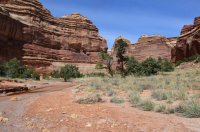 DSC_0170 - Copy (1024x681).jpg DSC_0170 - Copy (1024x681).jpg