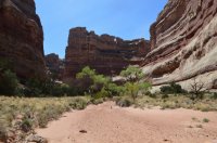 DSC_0175 - Copy (1024x681).jpg DSC_0175 - Copy (1024x681).jpg