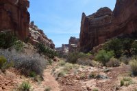 DSC_0187 - Copy (1024x681).jpg DSC_0187 - Copy (1024x681).jpg