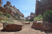 DSC_0191 - Copy (1024x681).jpg DSC_0191 - Copy (1024x681).jpg