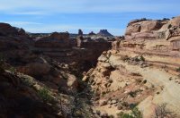 DSC_0205 - Copy (1024x681).jpg DSC_0205 - Copy (1024x681).jpg