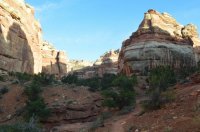 DSC_0240 - Copy (1024x681).jpg