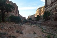 DSC_0245 - Copy (1024x681).jpg