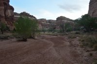 DSC_0287 (1024x681).jpg DSC_0287 (1024x681).jpg