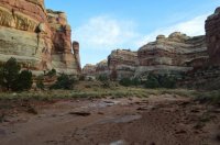 DSC_0252 - Copy (1024x681).jpg