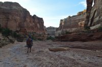 DSC_0248 - Copy (1024x681).jpg