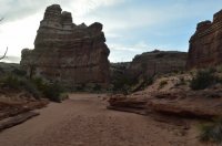 DSC_0256 (1024x681).jpg