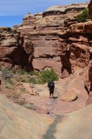 DSC_0308 (1024x681).jpg