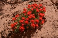 DSC_0305 (1024x681).jpg DSC_0305 (1024x681).jpg