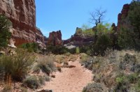 DSC_0302 (1024x681).jpg DSC_0302 (1024x681).jpg