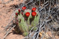 DSC_0303 (1024x681).jpg DSC_0303 (1024x681).jpg