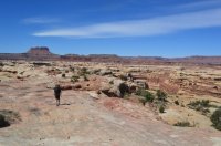 DSC_0311 (1024x681).jpg DSC_0311 (1024x681).jpg