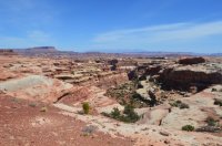 DSC_0319 (1024x681).jpg DSC_0319 (1024x681).jpg