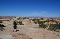 DSC_0332 (1024x681).jpg