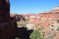 DSC_0339 (1024x681).jpg DSC_0339 (1024x681).jpg