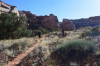 DSC_0347 (1024x681).jpg DSC_0347 (1024x681).jpg