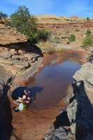 DSC_0354 (1024x681).jpg DSC_0354 (1024x681).jpg