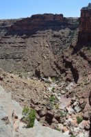 DSC_0438 (1024x681).jpg DSC_0438 (1024x681).jpg