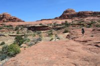 DSC_0440 (1024x681).jpg DSC_0440 (1024x681).jpg