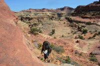 DSC_0447 (1024x681).jpg DSC_0447 (1024x681).jpg