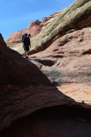 DSC_0449 (1024x681).jpg