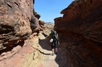 DSC_0451 (1024x681).jpg DSC_0451 (1024x681).jpg