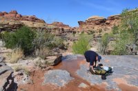 DSC_0462 (1024x681).jpg DSC_0462 (1024x681).jpg