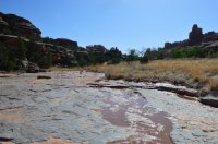 DSC_0463 (1024x681).jpg DSC_0463 (1024x681).jpg