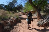 DSC_0466 (1024x681).jpg DSC_0466 (1024x681).jpg