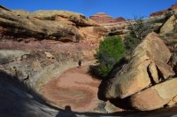 DSC_0474 (1024x681).jpg DSC_0474 (1024x681).jpg