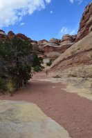 DSC_0503 (1024x681).jpg