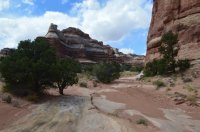 DSC_0504 (1024x681).jpg