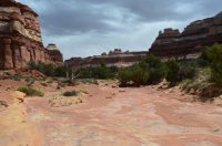 DSC_0506 (1024x681).jpg DSC_0506 (1024x681).jpg